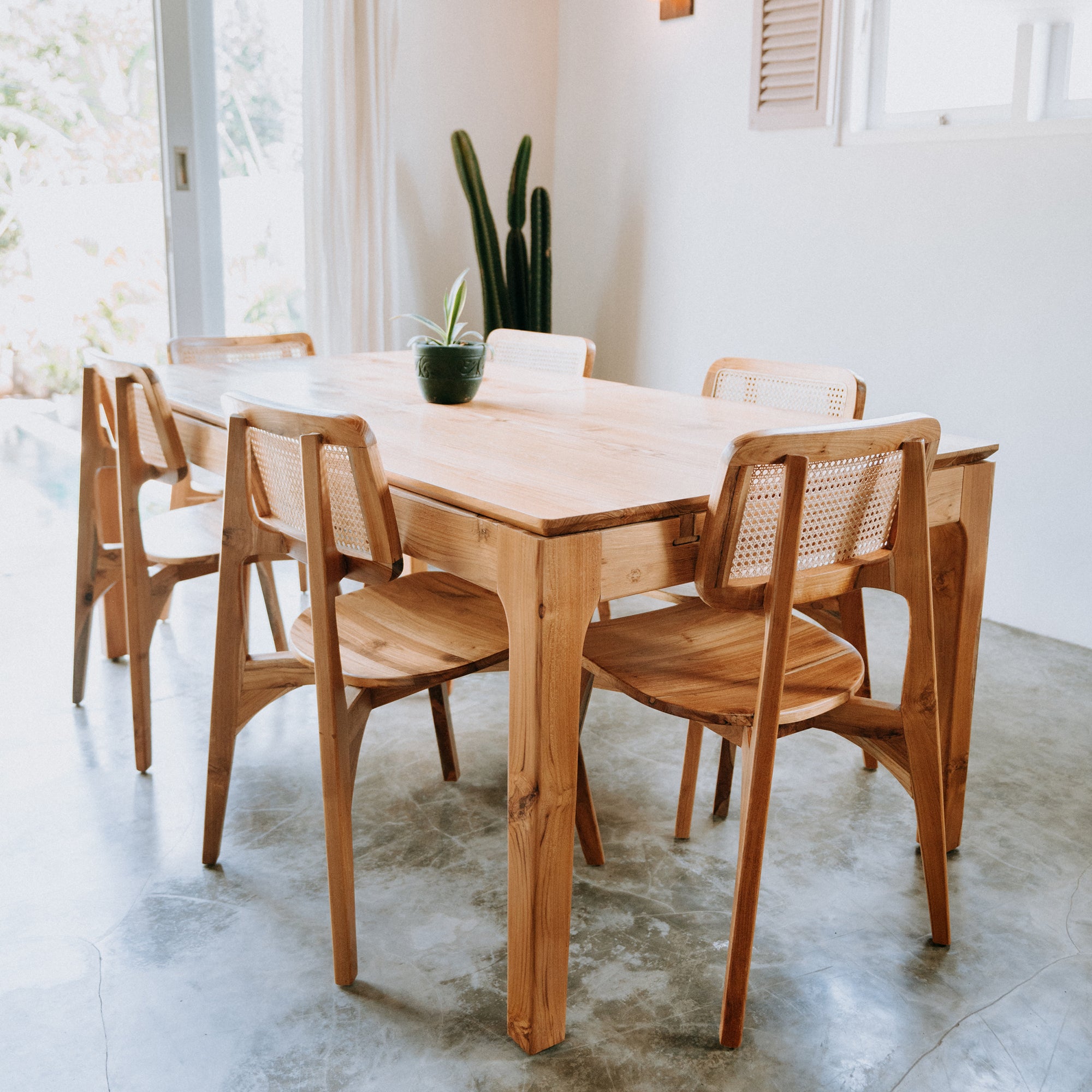 How to Find Teak Wood Furniture: Everything You Need To Know - Mojo Boutique